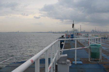 オリジナルメーカー海づり公園(市原市海づり施設) 釣果