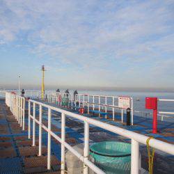 オリジナルメーカー海づり公園(市原市海づり施設) 釣果