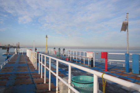 オリジナルメーカー海づり公園(市原市海づり施設) 釣果