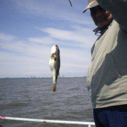 オリジナルメーカー海づり公園(市原市海づり施設) 釣果