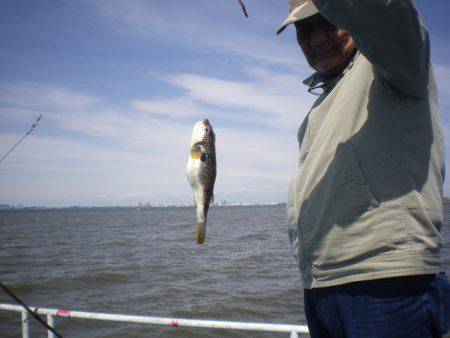 オリジナルメーカー海づり公園(市原市海づり施設) 釣果