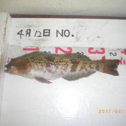 姫路市立遊魚センター 釣果