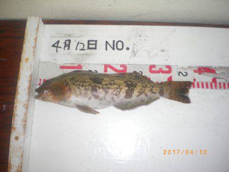 姫路市立遊魚センター 釣果