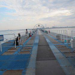 オリジナルメーカー海づり公園(市原市海づり施設) 釣果