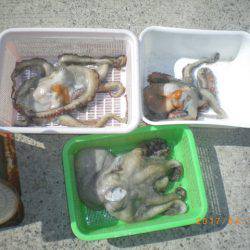 姫路市立遊魚センター 釣果