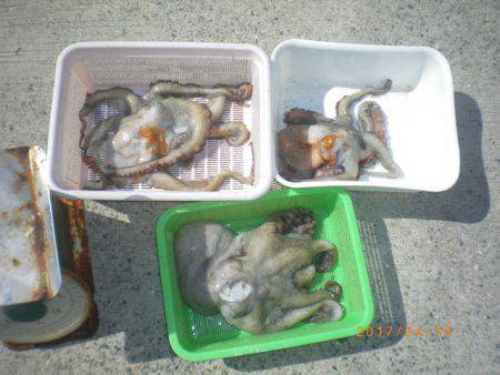 姫路市立遊魚センター 釣果