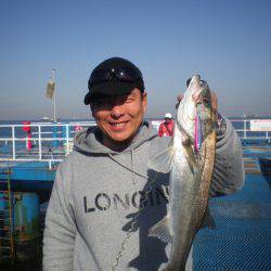 オリジナルメーカー海づり公園(市原市海づり施設) 釣果