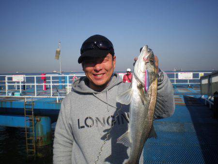 オリジナルメーカー海づり公園(市原市海づり施設) 釣果