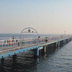 オリジナルメーカー海づり公園(市原市海づり施設) 釣果