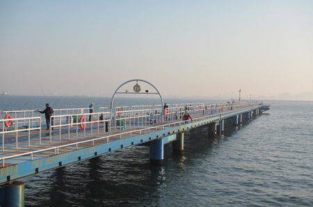 オリジナルメーカー海づり公園(市原市海づり施設) 釣果