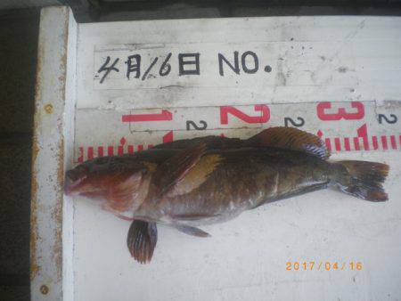 姫路市立遊魚センター 釣果