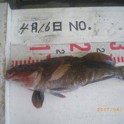 姫路市立遊魚センター 釣果