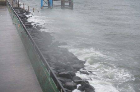 オリジナルメーカー海づり公園(市原市海づり施設) 釣果