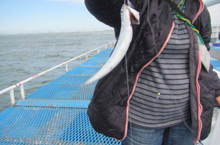 オリジナルメーカー海づり公園(市原市海づり…