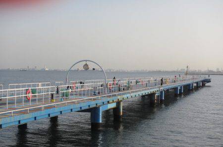 オリジナルメーカー海づり公園(市原市海づり施設) 釣果