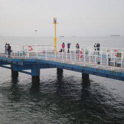 オリジナルメーカー海づり公園(市原市海づり施設) 釣果