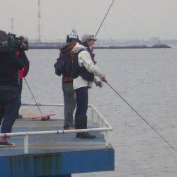 オリジナルメーカー海づり公園(市原市海づり施設) 釣果