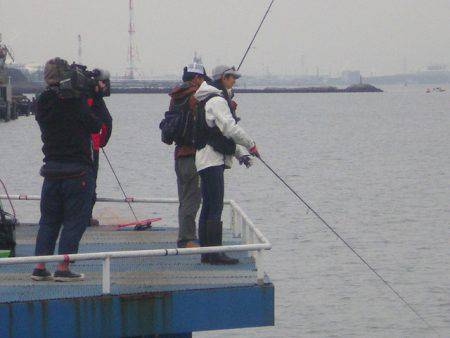 オリジナルメーカー海づり公園(市原市海づり施設) 釣果