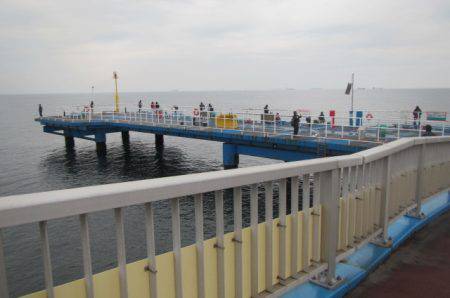 オリジナルメーカー海づり公園(市原市海づり施設) 釣果