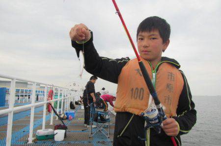 オリジナルメーカー海づり公園(市原市海づり施設) 釣果