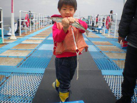 オリジナルメーカー海づり公園(市原市海づり…