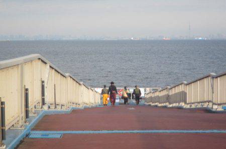 オリジナルメーカー海づり公園(市原市海づり施設) 釣果