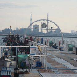オリジナルメーカー海づり公園(市原市海づり施設) 釣果