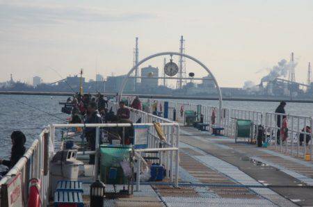 オリジナルメーカー海づり公園(市原市海づり施設) 釣果