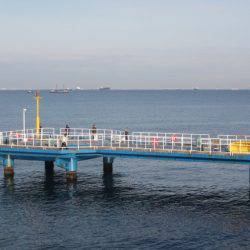 オリジナルメーカー海づり公園(市原市海づり施設) 釣果