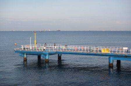 オリジナルメーカー海づり公園(市原市海づり施設) 釣果