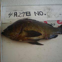 姫路市立遊魚センター 釣果