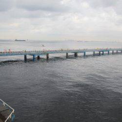 オリジナルメーカー海づり公園(市原市海づり施設) 釣果