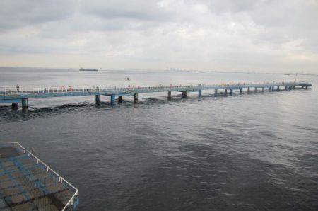 オリジナルメーカー海づり公園(市原市海づり施設) 釣果