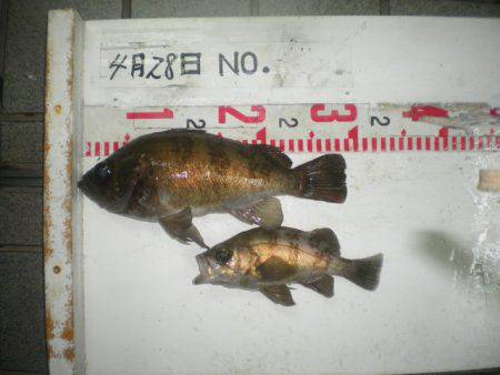 姫路市立遊魚センター 釣果