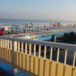 オリジナルメーカー海づり公園(市原市海づり施設) 釣果