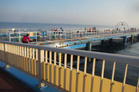 オリジナルメーカー海づり公園(市原市海づり施設) 釣果