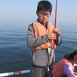 オリジナルメーカー海づり公園(市原市海づり施設) 釣果