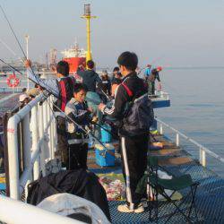 オリジナルメーカー海づり公園(市原市海づり施設) 釣果