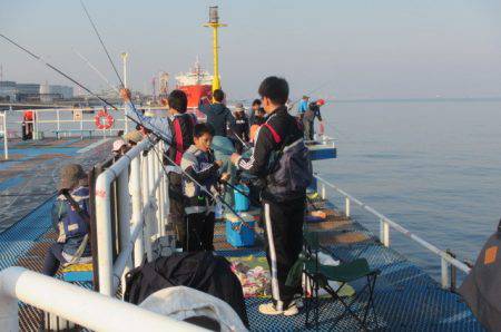 オリジナルメーカー海づり公園(市原市海づり施設) 釣果