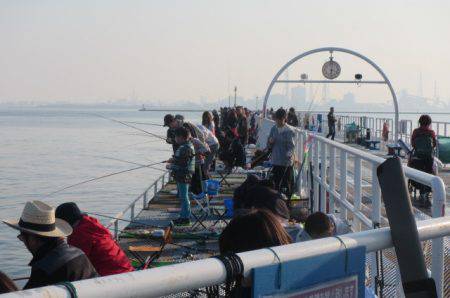 オリジナルメーカー海づり公園(市原市海づり施設) 釣果