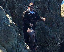 第八有漁丸 釣果