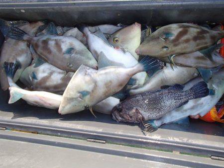 第二むつ漁丸 釣果