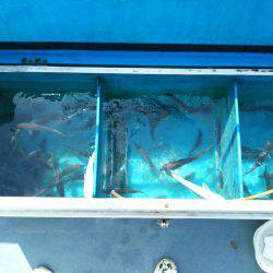 深川 吉野屋 釣果