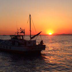 深川 吉野屋 釣果