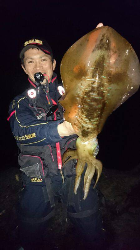 アオリイカ 白系シーズン到来！ホワイトモンスターの登場なるか！？【角田裕介氏連載記事浮きアオリイカ釣り 第7弾】