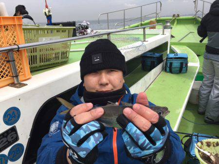 深川 吉野屋 釣果