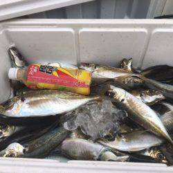 深川 吉野屋 釣果