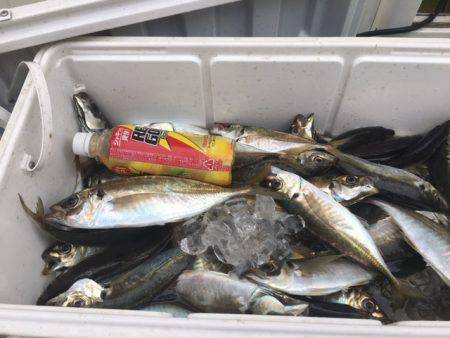 深川　吉野屋 釣果