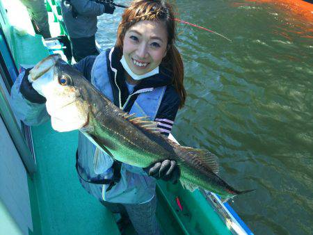 深川　吉野屋 釣果