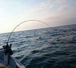 IDATEN（イダテン） 釣果